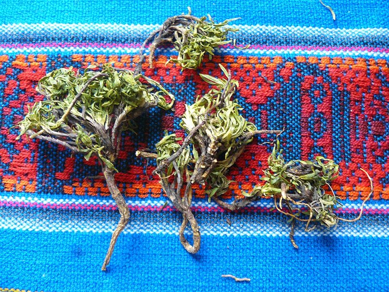 Hercampuri — imagen 2